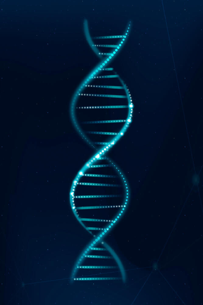 dna-portrait