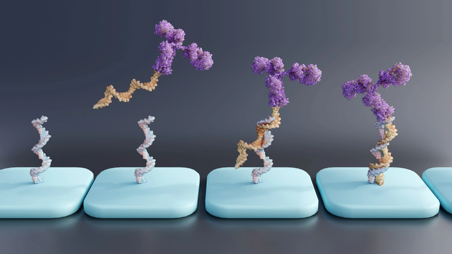 Antibody-oligonucleotide conjugates or AOC use in antibody arrays; 3d rendering